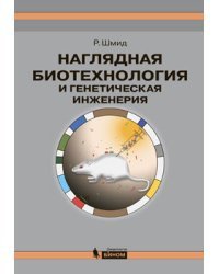 Наглядная биотехнология и генетическая инженерия
