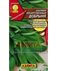 Семена. Шалфей лекарственный "Добрыня". 0.2 грамма