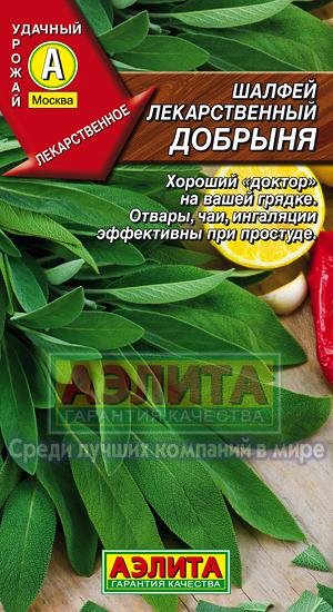 Обложка книги «Семена. Шалфей лекарственный "Добрыня". 0.2 грамма»