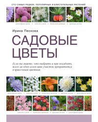 Садовые цветы