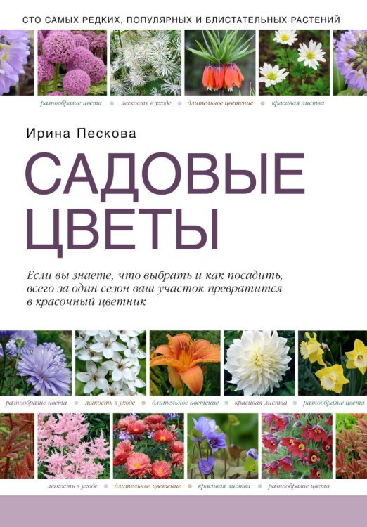 Садовые цветы