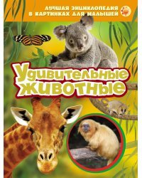 Лучшая энциклопедия в картинках для малышей "Удивительные животные"