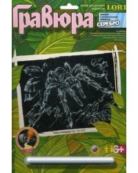 Гравюра с металлическим эффектом серебра "Паук-птицеед"