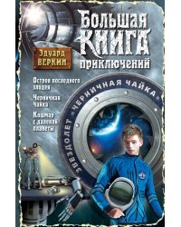 Звездолет "Черничная Чайка"