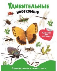 Энциклопедия животных с наклейками "Удивительные насекомые"