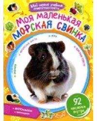 Моя маленькая морская свинка