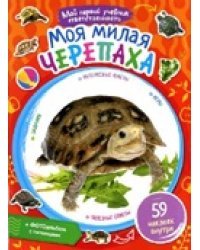 Моя милая черепаха