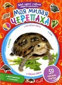 Моя милая черепаха