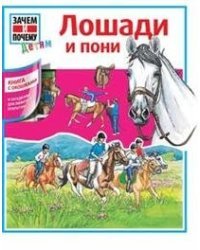 Лошади и пони