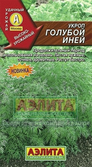 Семена. Укроп "Голубой иней"