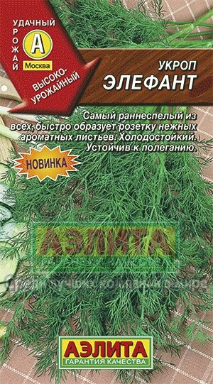 Семена. Укроп "Элефант"