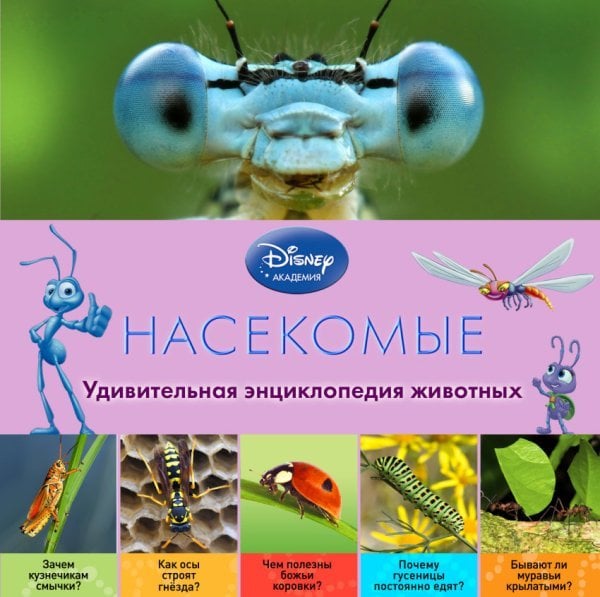 Disney. Удивительная энциклопедия животных Насекомые