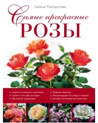 Самые прекрасные розы