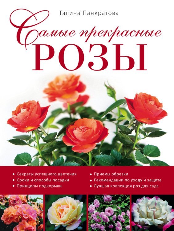 Самые прекрасные розы
