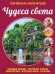 Обложка книги «Чудеса света» — Лазарь Елена, ISBN 9785699732494