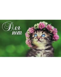 Нотная тетрадь (маленькая на скрепке). Котенок в венке
