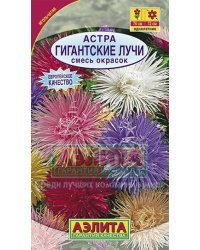 Семена. Астра "Гигантские лучи", смесь окрасок (вес: 0,2 г)