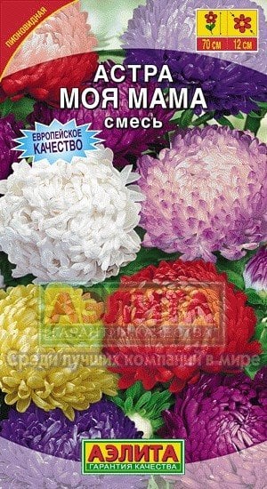 Семена. Астра "Моя мама", смесь окрасок (вес: 0,2 г)