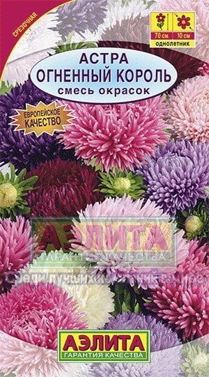 Семена. Астра "Огненный король", смесь окрасок (вес: 0,2 г)