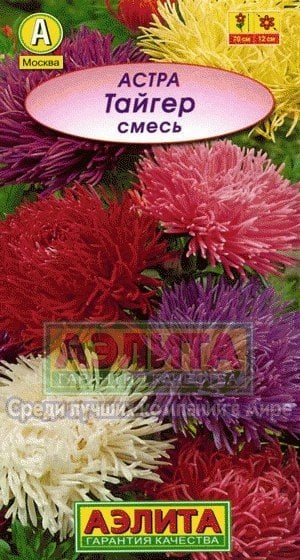Семена. Астра "Тайгер", смесь окрасок, однолетник (вес: 0.2 г)