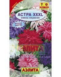 Семена. Астра "XXXL", смесь окрасок, однолетник (вес: 0.2 г)