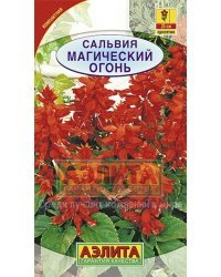 Семена. Сальвия "Магический огонь", однолетник (вес: 0,1 г)