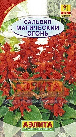 Семена. Сальвия "Магический огонь", однолетник (вес: 0,1 г)