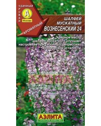 Семена. Шалфей мускатный "Вознесенский 24", пряно-ароматическо-лекарственное растение (вес: 0,2 г)