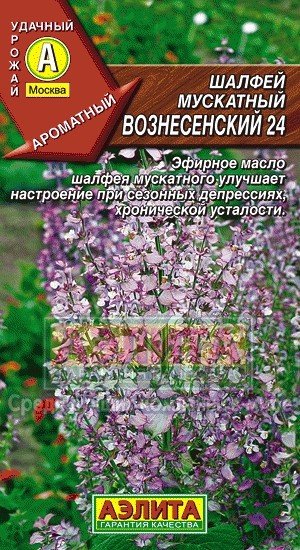 Обложка книги «Семена. Шалфей мускатный "Вознесенский 24", пряно-ароматическо-лекарственное растение (вес: 0,2 г)»