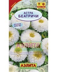 Семена. Астра "Беатричи", однолетник (вес: 0,2 г)