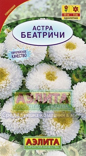 Семена. Астра "Беатричи", однолетник (вес: 0,2 г)