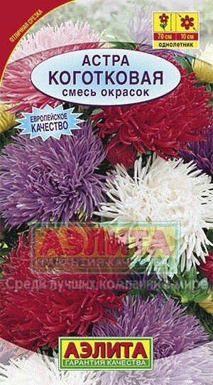 Семена. Астра "Коготковая", смесь окрасок, однолетник (вес: 0,2 г)