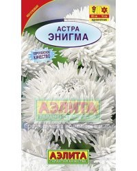 Семена. Астра "Энигма", коготковая, однолетник (вес: 0,2 г)