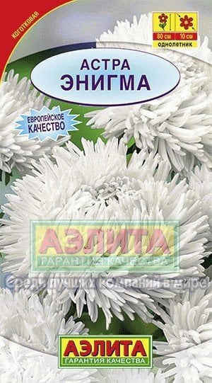 Семена. Астра "Энигма", коготковая, однолетник (вес: 0,2 г)