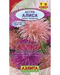 Семена. Астра "Алиса", смесь окрасок, однолетник (вес: 0.2 г)