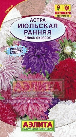 Семена. Астра "Июльская", смесь окрасок (вес: 0.2 г)