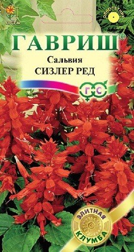Семена. Сальвия "Сизлер Ред" (5 штук), серия: элитная клумба