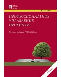 Профессиональное управление проектом