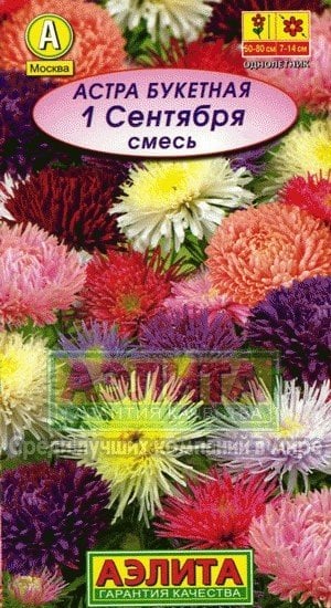 Семена. Астра "1 сентября", смесь окрасок, однолетник (вес: 0,2 г)