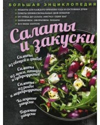 Большая энциклопедия. Салаты и закуски