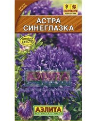 Семена. Астра "Синеглазка", однолетник (вес: 0,2 г)