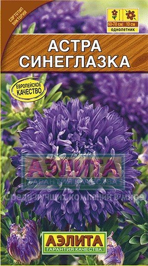 Семена. Астра "Синеглазка", однолетник (вес: 0,2 г)