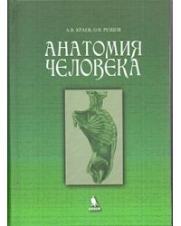 Анатомия человека