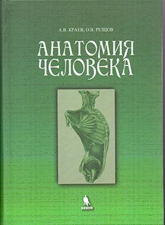 Анатомия человека