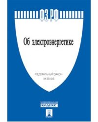 Об электроэнергетике. Федеральный закон Российской Федерации №35-ФЗ