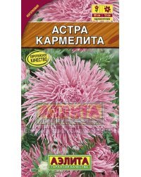 Семена. Астра "Кармелита", однолетник (вес: 0,2 г)