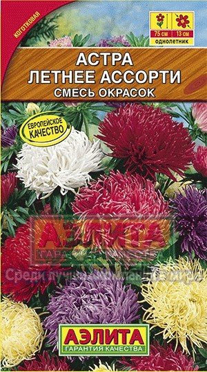 Семена. Астра "Летнее ассорти", смесь окрасок, однолетник (вес: 0,2 г)