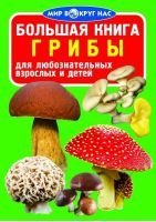 Обложка книги «Большая книга. Грибы» — Завязкин О.В., ISBN 9786170803757