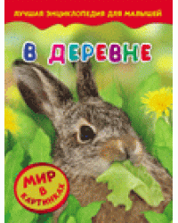 В деревне. Мир в картинках