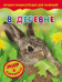 Обложка книги «В деревне. Мир в картинках», ISBN 9785353067085